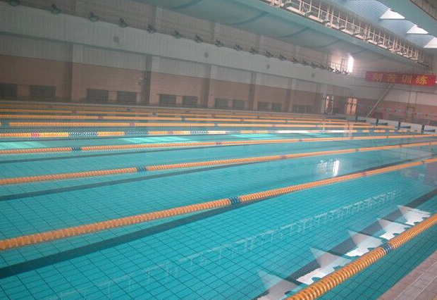 廣州珠島賓館康樂(lè)中心游泳池為室內(nèi)恒溫標(biāo)準(zhǔn)泳池，泳池水處理系統(tǒng)采用西班牙ASTRALPOOL品牌泳池設(shè)備，恒溫系統(tǒng)采用西班牙ASTRALPOOL品牌空氣源熱泵和三集一恒溫除濕一體機(jī)，我司提供技術(shù)支持及設(shè)備安裝服務(wù)。